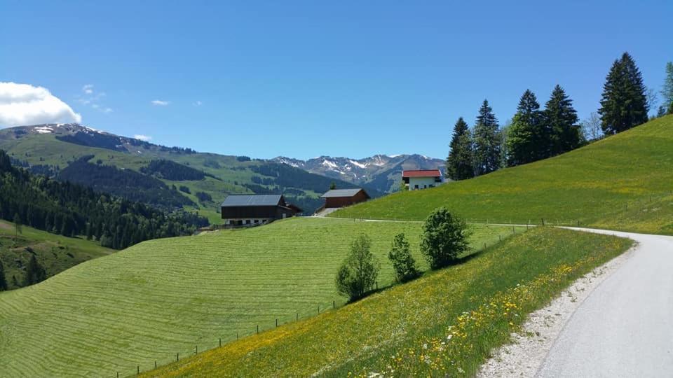 Haus Am Sonnberg Villa Maria Alm am Steinernen Meer Buitenkant foto